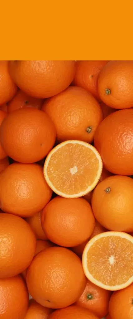 Naranja, orrange from Chile