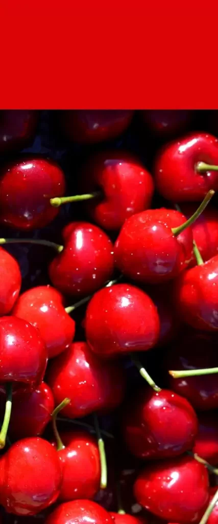 Lapins cherries from Chile