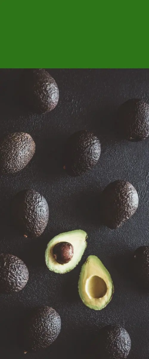 Aguacates Hass de Chile Avocado, Avocat