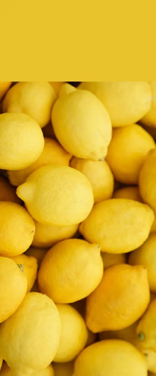 Eureka Lemon from Chile