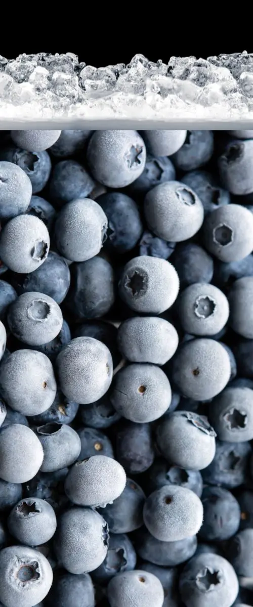 Frozen IQF Blueberries