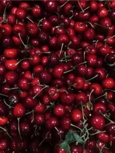 Chilean cherries for export